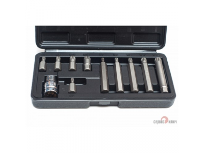 СЕРВИС КЛЮЧ 76441 Набор бит