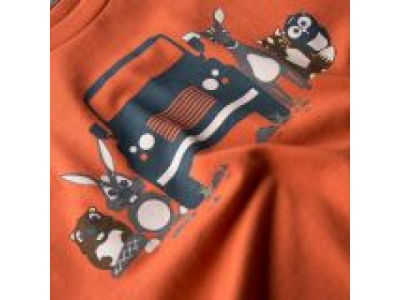 Футболка для мальчиков Land Rover Boys Graphic T-shirt, Orange