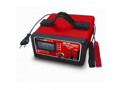 Зарядное устройство AVS Energy BT-6025 SMART (10A) 6/12V