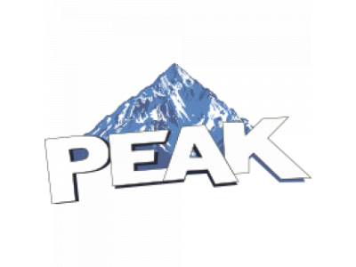 Ремкомплект цилиндра для подъемника PEAK SX08F